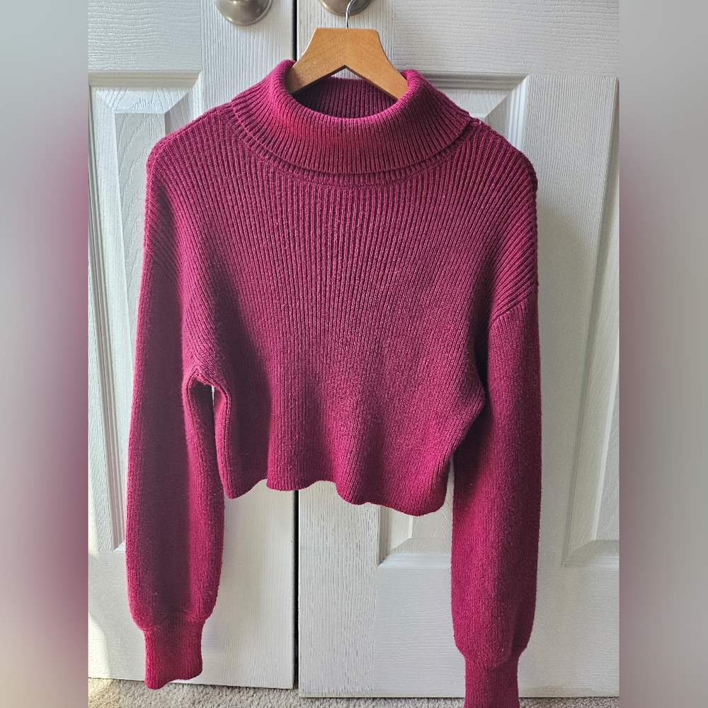 Cropped Turtleneck Sweater